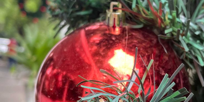 Fairlawns-xmas_02