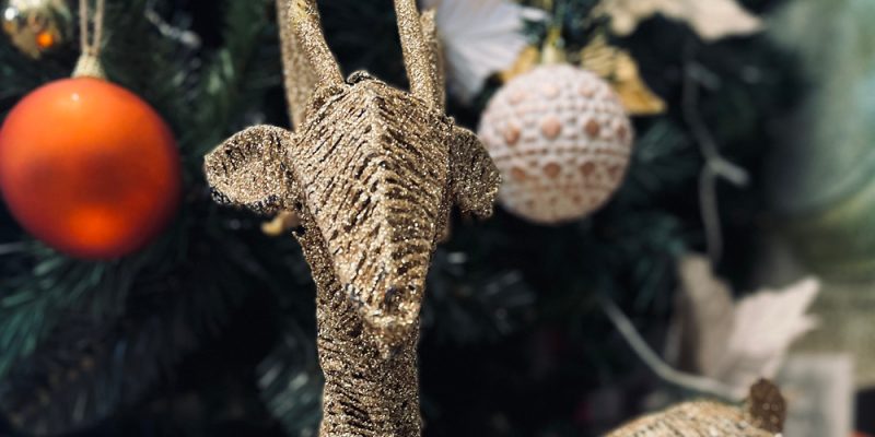 Xmas in July Posts6